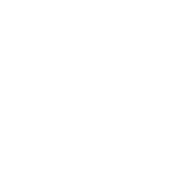 Estudiantes internacionales