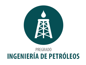 Ingeniería de Petróleos