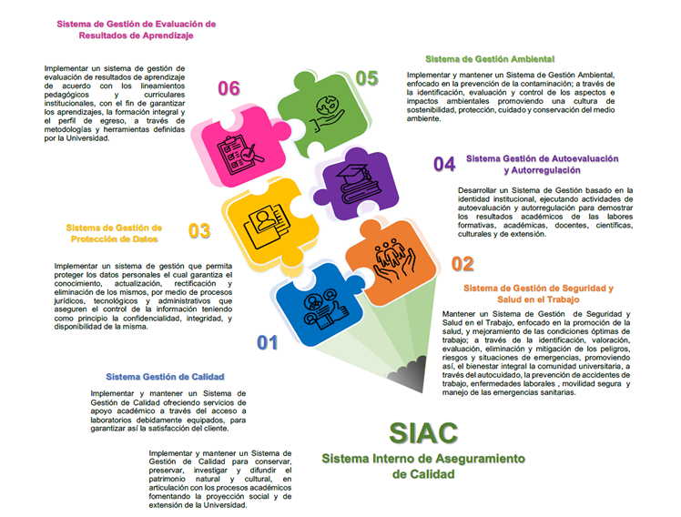 Plan de estudios Pregrado de Administración de Empresas