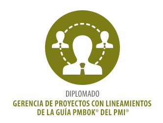 DIPLOMADO GERENCIA DE PROYECTOS CON LINEAMIENTOS DE LA GUÍA PMBOK® DEL PMI®