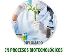 DIPLOMADO EN PROCESOS BIOTECNOLÓGICOS