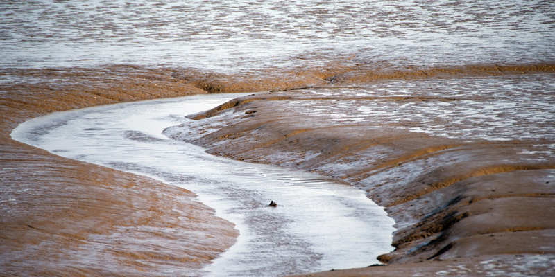 Energía mediante la unión de ríos y el mar