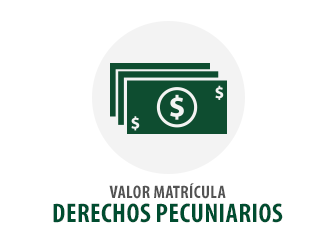 Derechos Pecuniarios